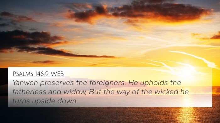 Psalms 146:9 WEB Bible Verse Image