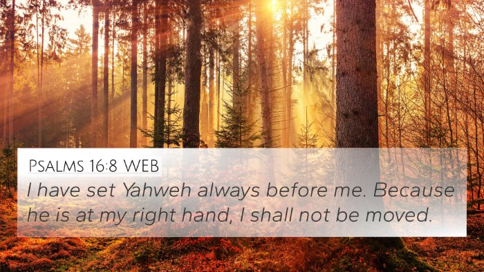 Psalms 16:8 WEB Bible Verse Image
