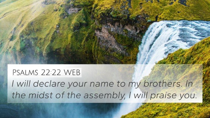 Psalms 22:22 WEB Bible Verse Image