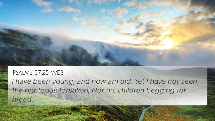 Psalms 37:25 WEB Bible Verse Image