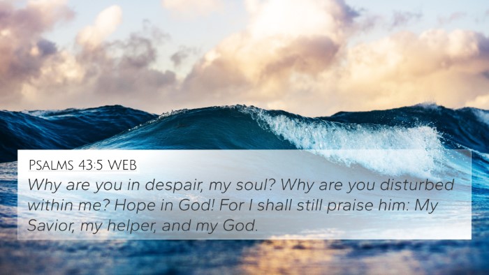Psalms 43:5 WEB Bible Verse Image