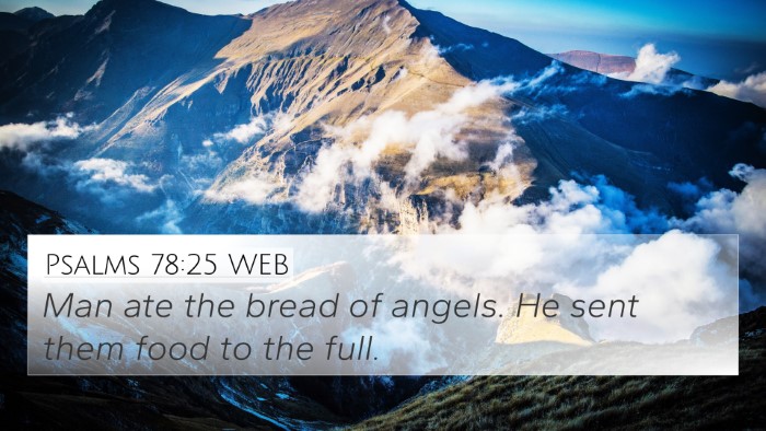 Psalms 78:25 WEB Bible Verse Image