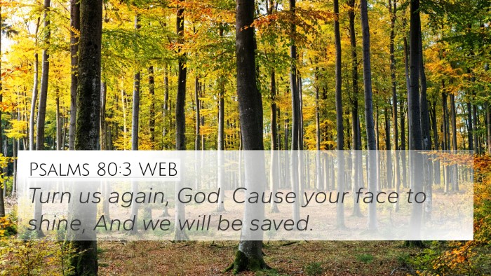 Psalms 80:3 WEB Bible Verse Image