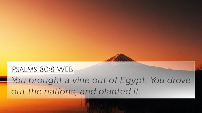 Psalms 80:8 WEB Bible Verse Image