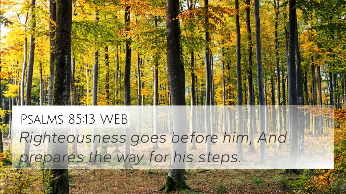 Psalms 85:13 WEB Bible Verse Image