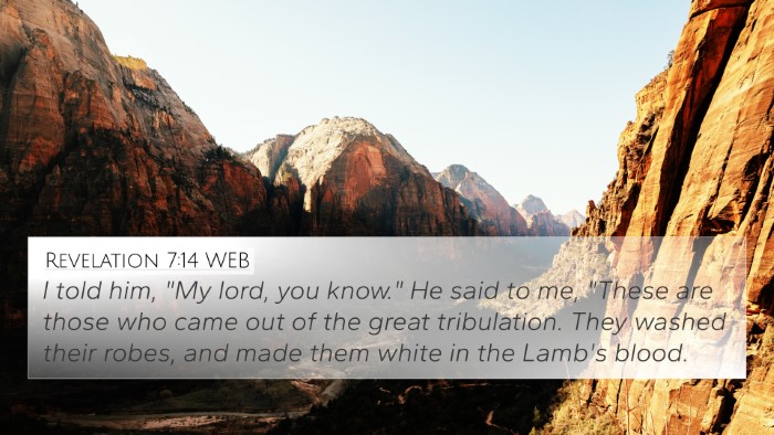 Revelation 7:14 WEB Bible Verse Image