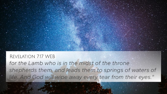 Revelation 7:17 WEB Bible Verse Image