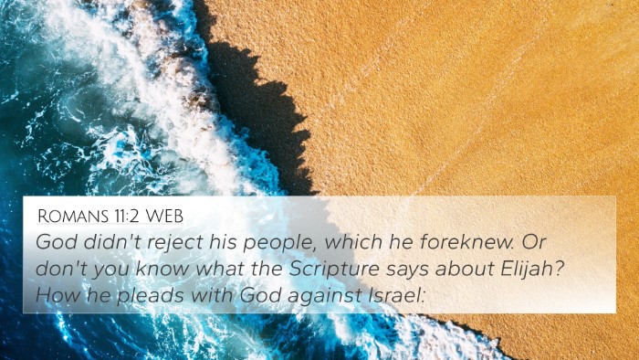 Romans 11:2 WEB Bible Verse Image