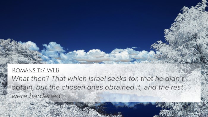 Romans 11:7 WEB Bible Verse Image