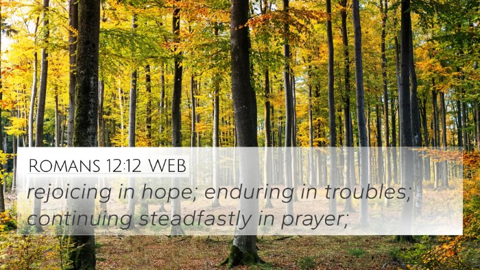 Romans 12:12 WEB Bible Verse Image