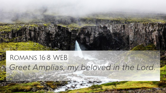 Romans 16:8 WEB 4K Wallpaper - Greet Amplias, my beloved in the - 4K Wallpaper Bible Verse