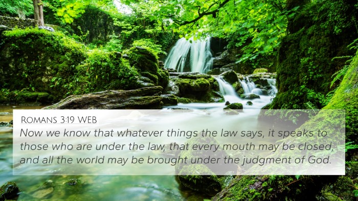 Romans 3:19 WEB Bible Verse Image