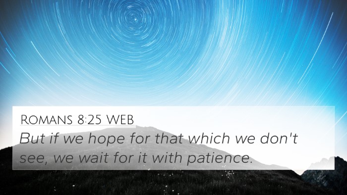 Romans 8:25 WEB Bible Verse Image