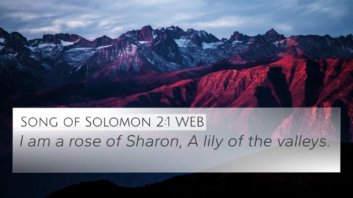 Song of Solomon 2:1 WEB 4K Wallpaper - I am a rose of Sharon, A lily of the - 4K Wallpaper Bible Verse