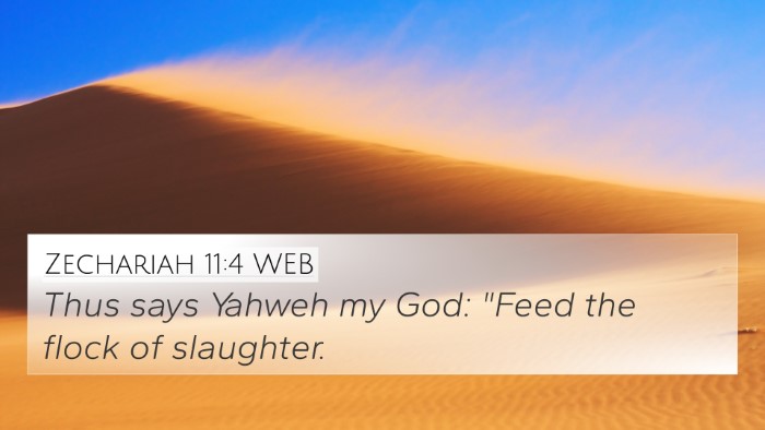 Zechariah 11:4 WEB Bible Verse Image