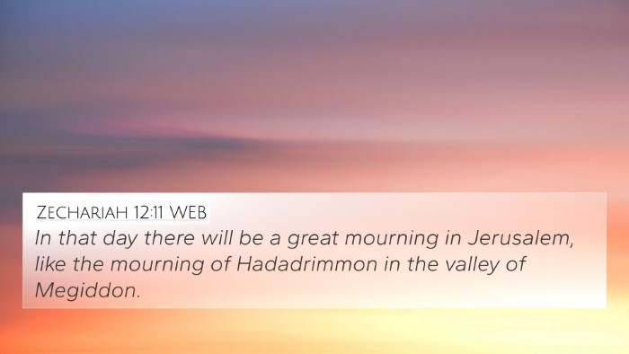 Zechariah 12:11 WEB Bible Verse Image