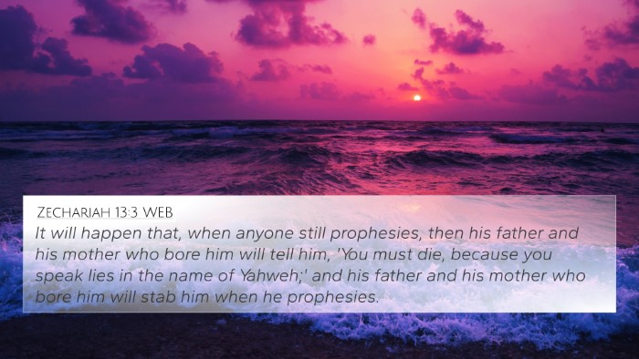 Zechariah 13:3 WEB Bible Verse Image
