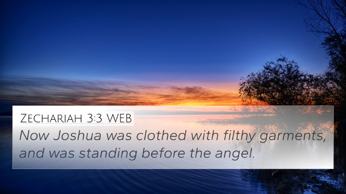 Zechariah 3:3 WEB Bible Verse Image
