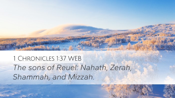1 Chronicles 1:37 WEB Bible Verse Image