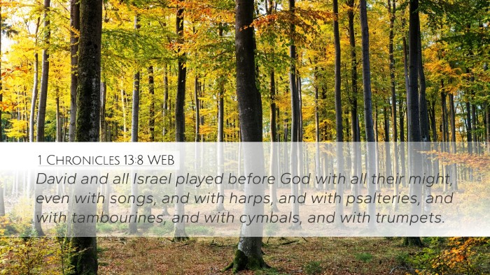 1 Chronicles 13:8 WEB Bible Verse Image
