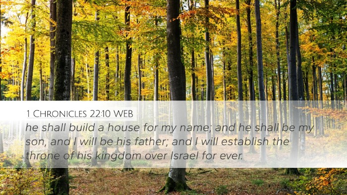 1 Chronicles 22:10 WEB Bible Verse Image