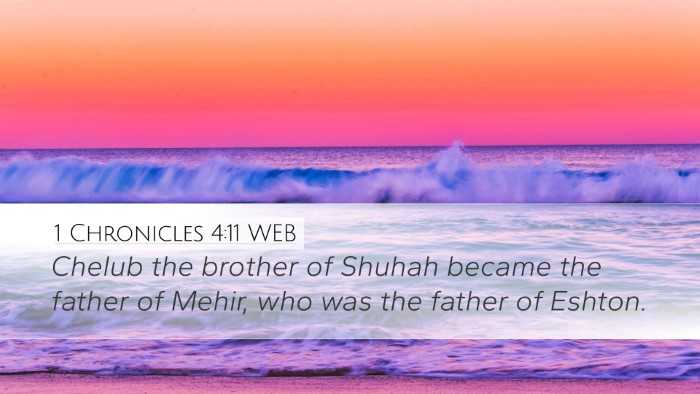 1 Chronicles 4:11 WEB Desktop Wallpaper - Chelub the brother of Shuhah became the father of - Desktop Bible Verse Wallpaper