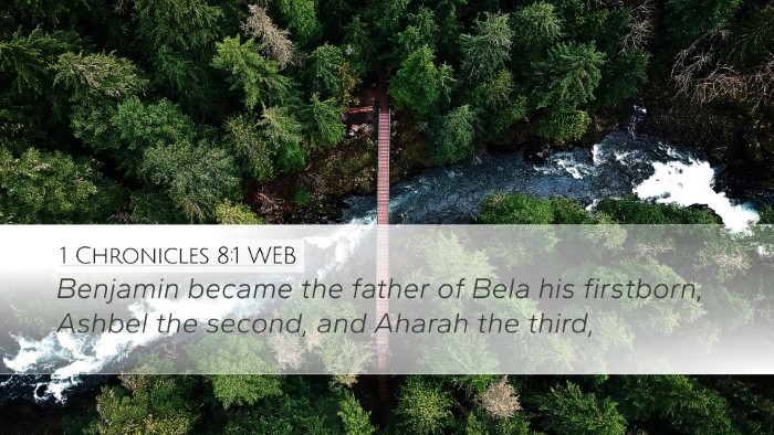 1 Chronicles 8:1 WEB Bible Verse Image