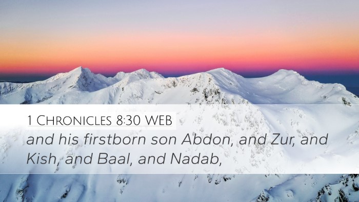 1 Chronicles 8:30 WEB Bible Verse Image
