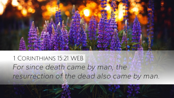 1 Corinthians 15:21 WEB Bible Verse Image