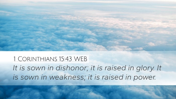 1 Corinthians 15:43 WEB Bible Verse Image