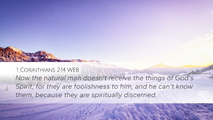 1 Corinthians 2:14 WEB Bible Verse Image