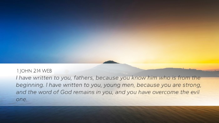 1 John 2:14 WEB Bible Verse Image