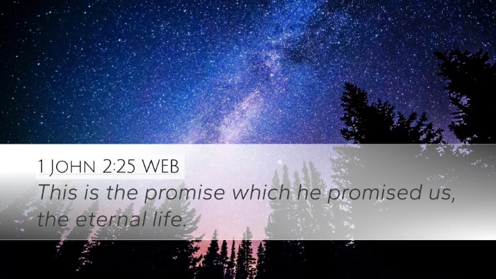1 John 2:25 WEB Bible Verse Image