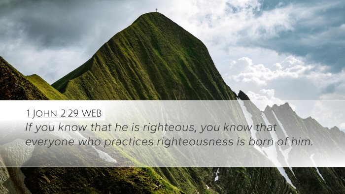 1 John 2:29 WEB Bible Verse Image