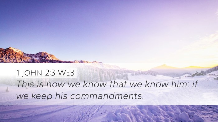 1 John 2:3 WEB Bible Verse Image