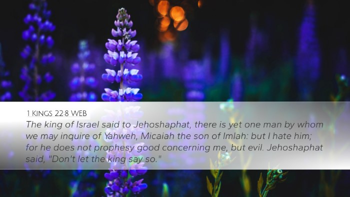 1 Kings 22:8 WEB Bible Verse Image
