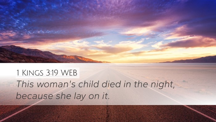 1 Kings 3:19 WEB Desktop Wallpaper - This woman's child died in the night, because she - Desktop Bible Verse Wallpaper