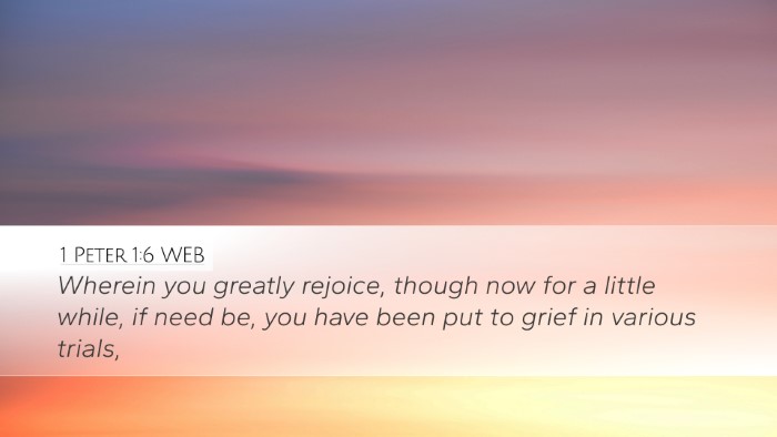 1 Peter 1:6 WEB Bible Verse Image