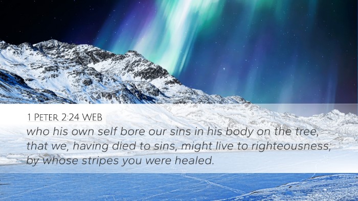 1 Peter 2:24 WEB Bible Verse Image