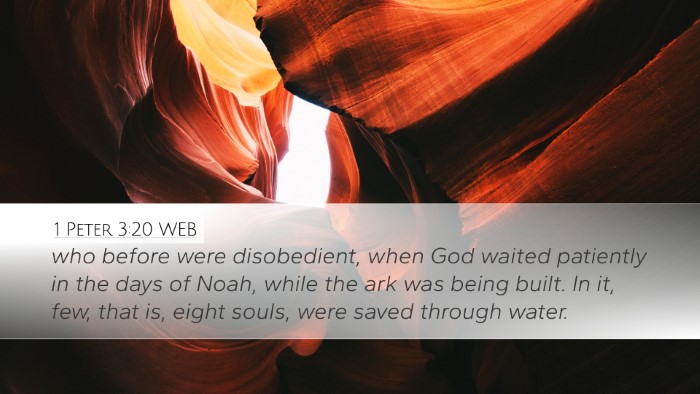 1 Peter 3:20 WEB Bible Verse Image