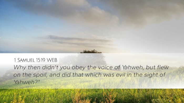 1 Samuel 15:19 WEB Desktop Wallpaper - Why then didn't you obey the voice of Yahweh, but - Desktop Bible Verse Wallpaper