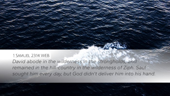 1 Samuel 23:14 WEB Bible Verse Image