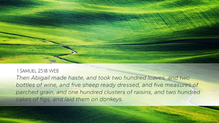1 Samuel 25:18 WEB Bible Verse Image