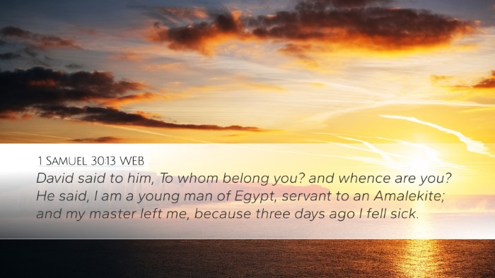1 Samuel 30:13 WEB Bible Verse Image