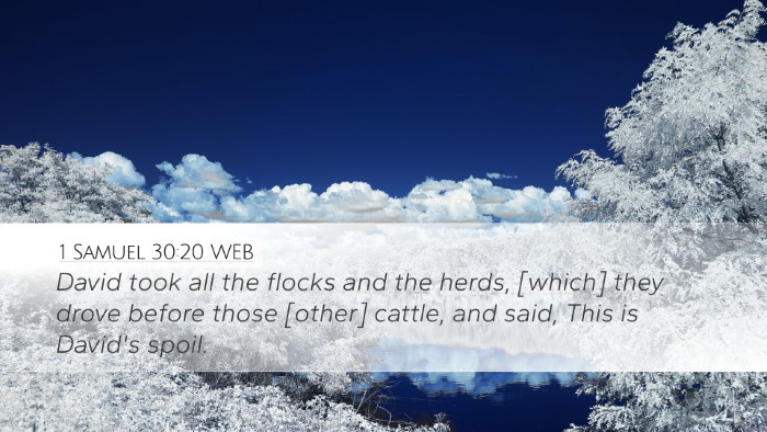 1 Samuel 30:20 WEB Bible Verse Image