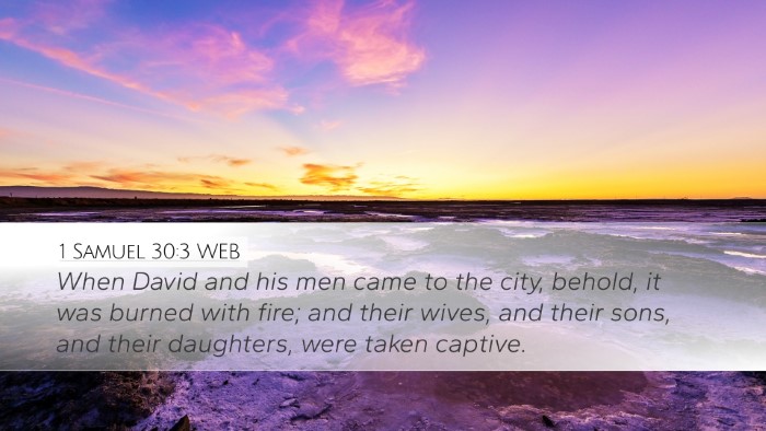 1 Samuel 30:3 WEB Bible Verse Image