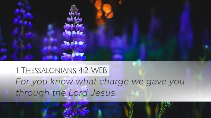 1 Thessalonians 4:2 WEB Desktop Wallpaper - For you know what charge we gave you through the - Desktop Bible Verse Wallpaper