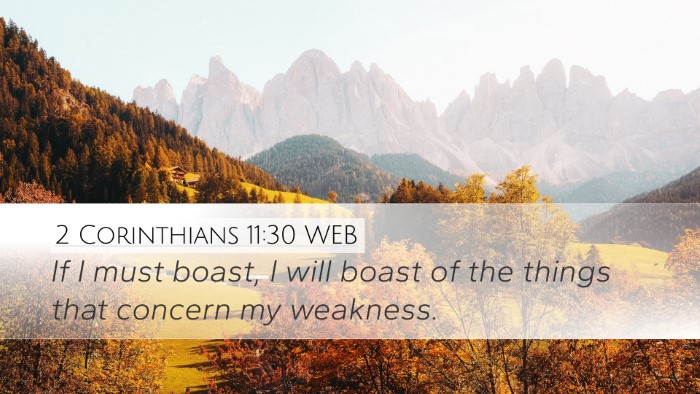 2 Corinthians 11:30 WEB Bible Verse Image