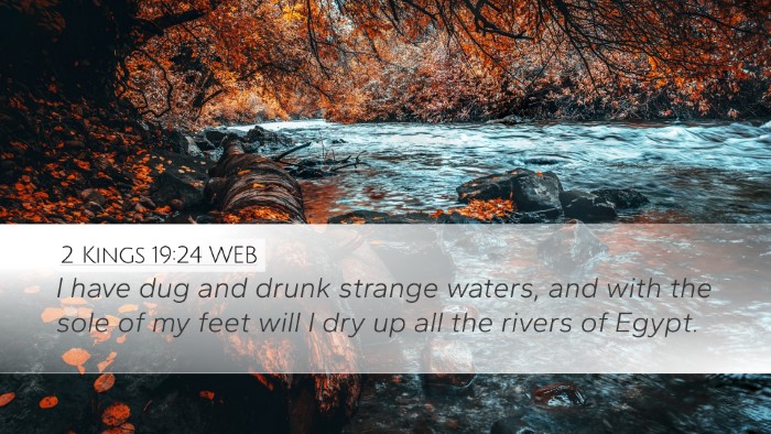 2 Kings 19:24 WEB Bible Verse Image