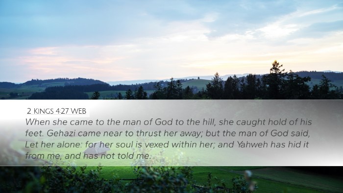 2 Kings 4:27 WEB Bible Verse Image